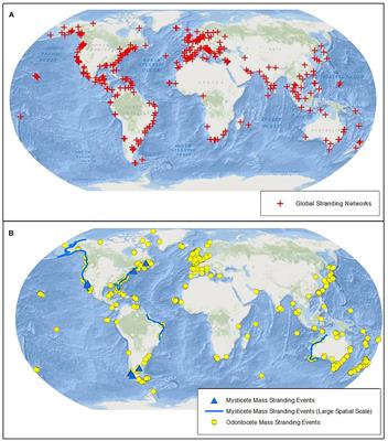 Cetacean Strandings From Space: Challenges and Opportunities of Very High Resolution Satellites for the Remote Monitoring of Cetacean Mass Strandings